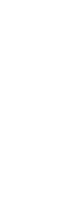 基本情報