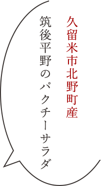 宮古島産